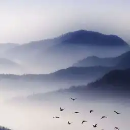  风景头像,想要一片天