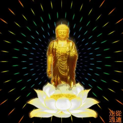  顶礼接佛平安,吉祥,幸福,好运连连,消灾延寿