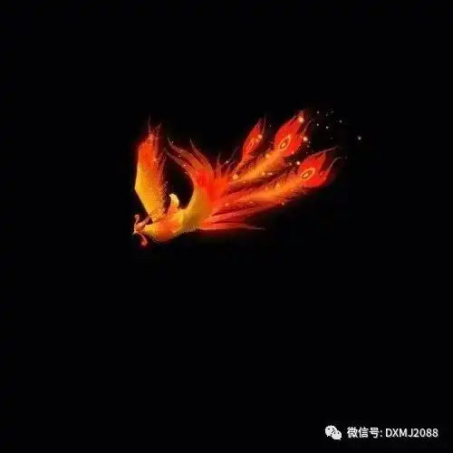  凤凰涅槃,浴火重生不忘初心,砥砺前行腾讯新闻