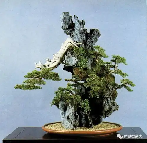  贺淦荪论树石盆景