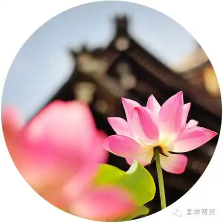  凡事当有度,过度成灾祸