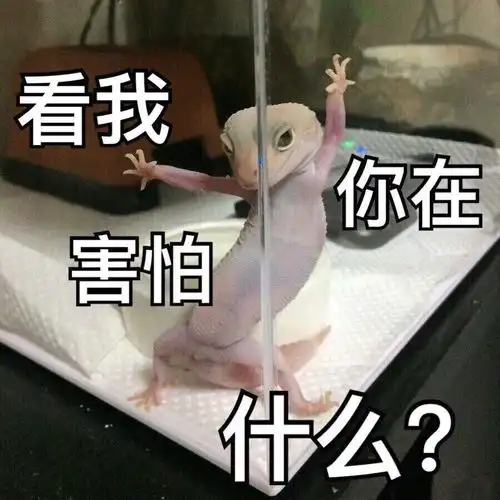  e句话看天下陈自强这个名字,不知几多人还记得