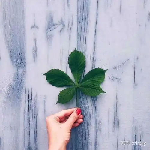  最后一个月如何数学高考拔分