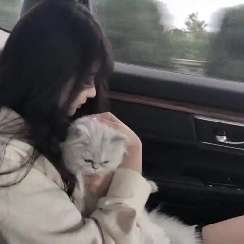  ins甜酷女生头像