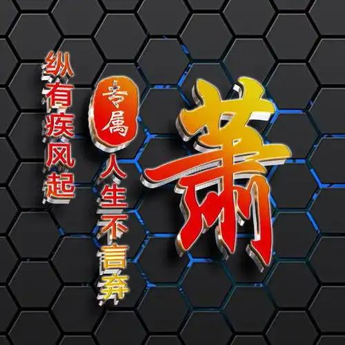  金属立体姓氏头像,一共10张,助你个性更张扬