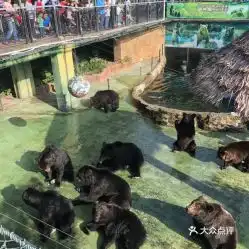  电话,地址,价格,营业时间深圳周边游