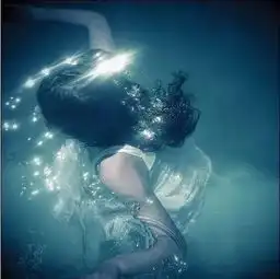  海洋系