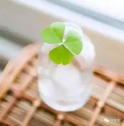  10篇读者卷首语,经典经得起岁月打磨