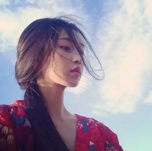 四叶草头像 小清新单曲