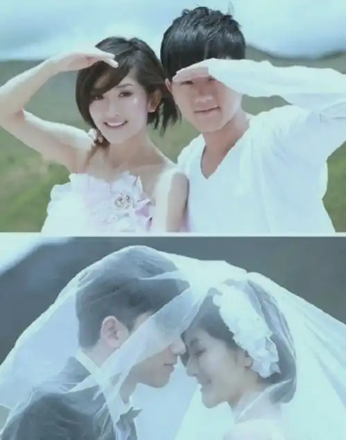  张杰晒与谢娜牵手合影庆祝结婚10周年,粉丝换头像有序控评超用心