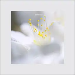  花草集风光,花卉花草集森林鸟风光摄影精选