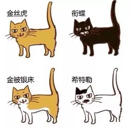  论喵星人撒娇的100种方式,女生们都好好学一下