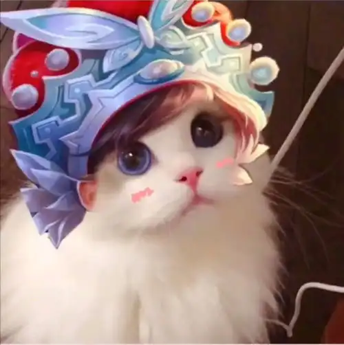 猫咪情侣头像拟人动漫