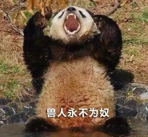  每日一笑今天看到闺蜜家,她以为丈夫生了两个孩子,全是男孩