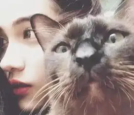 欧美美女头像