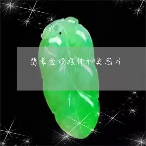  翡翠金蟾摆件种类图片翡翠金蟾手链镶嵌图片大全
