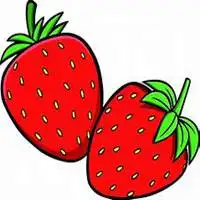  小清新卡通头像水果微信头像图片大全