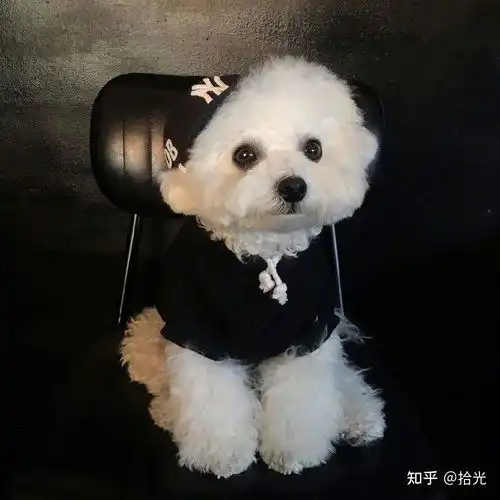 情侣头像奶凶奶气的情侣