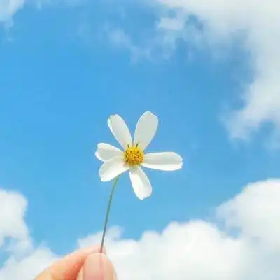  欧洲杯下注网