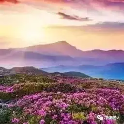  送你10句话,句句真金,让你看透晚年生活的真谛
