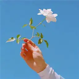  微信唯美好看甜甜的头像图片好春光不如梦一场