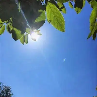 81昂贵的春天散文宋千寻