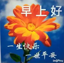  微信早上好问候祝福语唯美图片,最新早晨好问候祝福语短信