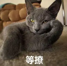 幸运草造型头像图片猎豹