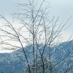  一片冰晶在山林丨冬天的美景