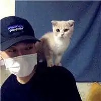  什么男生头像好撩妹戴口罩的男生头像侧面秒杀全场