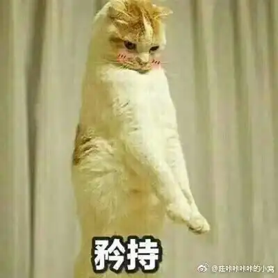  这不是一个矜持的时代你眼中的小保险公司,其实个个实力雄厚二