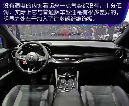 抢先实拍阿尔法罗密欧stelvio四叶草版纽北最速suv来袭