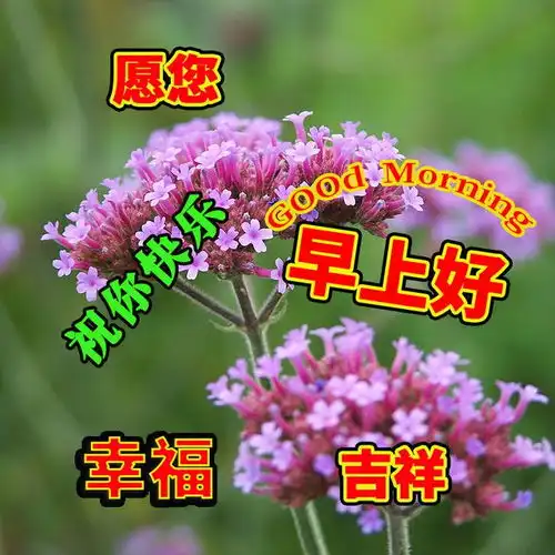 一生平安的微信头像好运