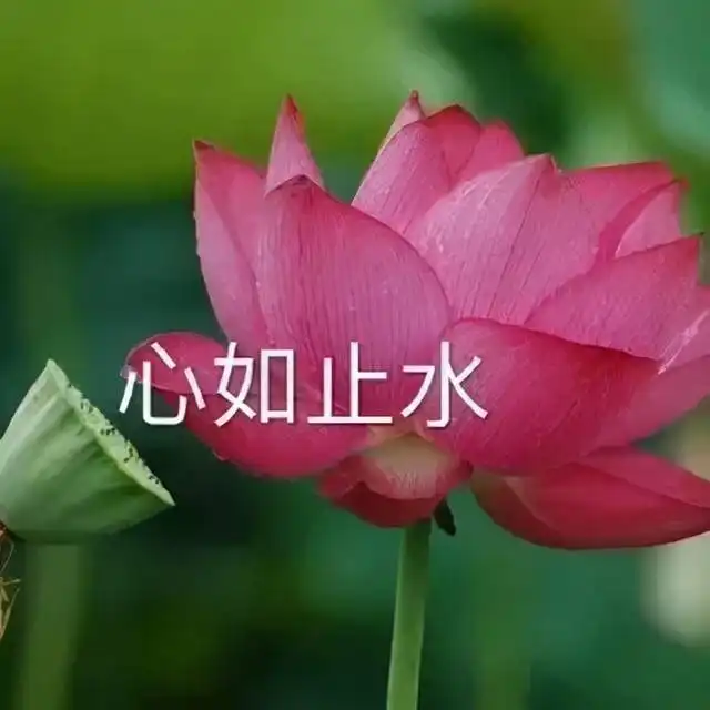  救命这些考研头像太好用了用上效率upup