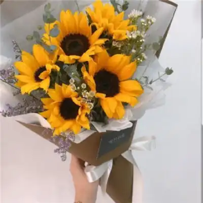  520唯美花背景图鲜花送给最爱风景静物头像我要个性网