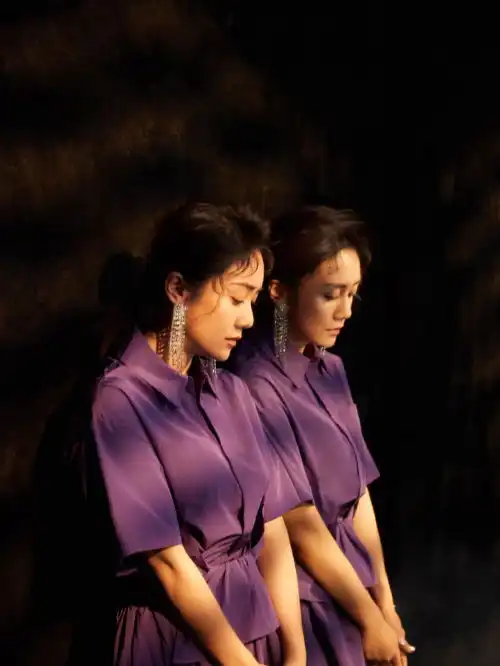  曾是李小璐闺蜜,今穿紫色长裙戴钻石耳环,灯光下美成油画了