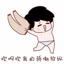  本想活成令人羡慕的样子,却不料活成了搞笑段子