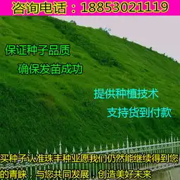  北京现在适合种什么草坪