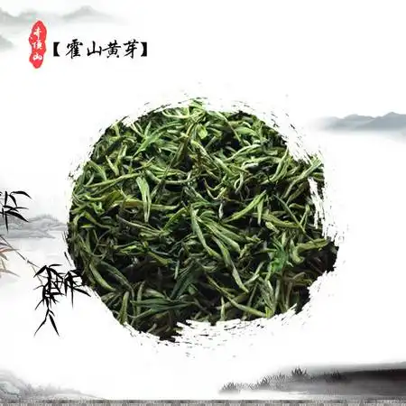  包装散茶霍山黄芽绿茶新茶叶