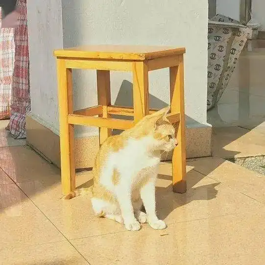  快来领取你的今日份阳光