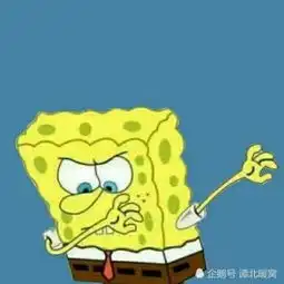  送给处于低落的你
