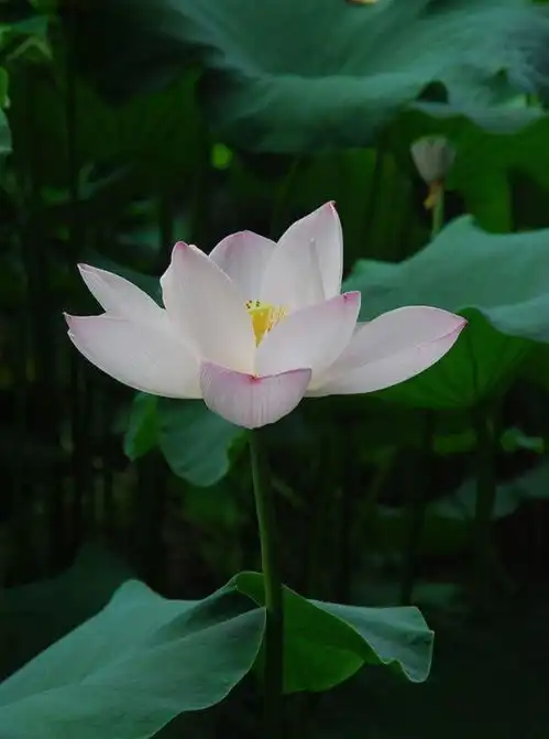  无标题
