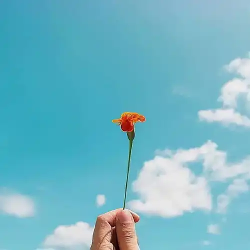  上海有没有非常专业的靠谱的能耐心检查的助听器验配师或验配店