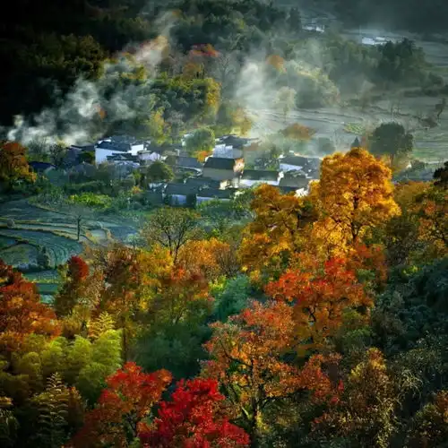 紫色山水风景微信头像奇