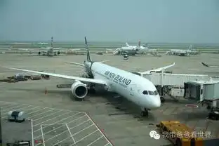  搭乘最爱拍大片的航空公司,是一种怎样的体验