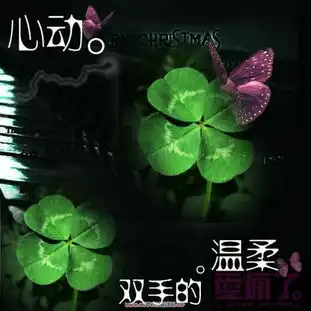 幸运草造型头像图片个性