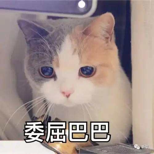  受啥刺激了霉霉胖成弓长惠女未但这个112斤的网红却看起来只有90斤
