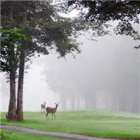  2023平静安宁风景头像
