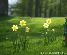  护眼养眼风景美图,可做手机壁纸或头像用免费使用