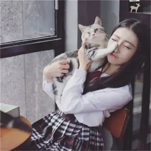  情头撸猫女孩优质头像,原来我的心也没了腾讯新闻